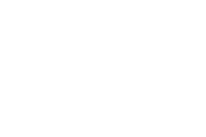 Super Lawyers Rising Star